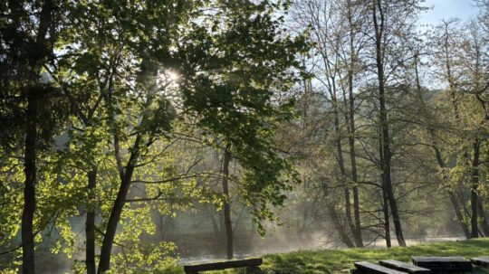 KV Dřísy – 1. závody